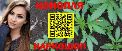 индика Новокубанск