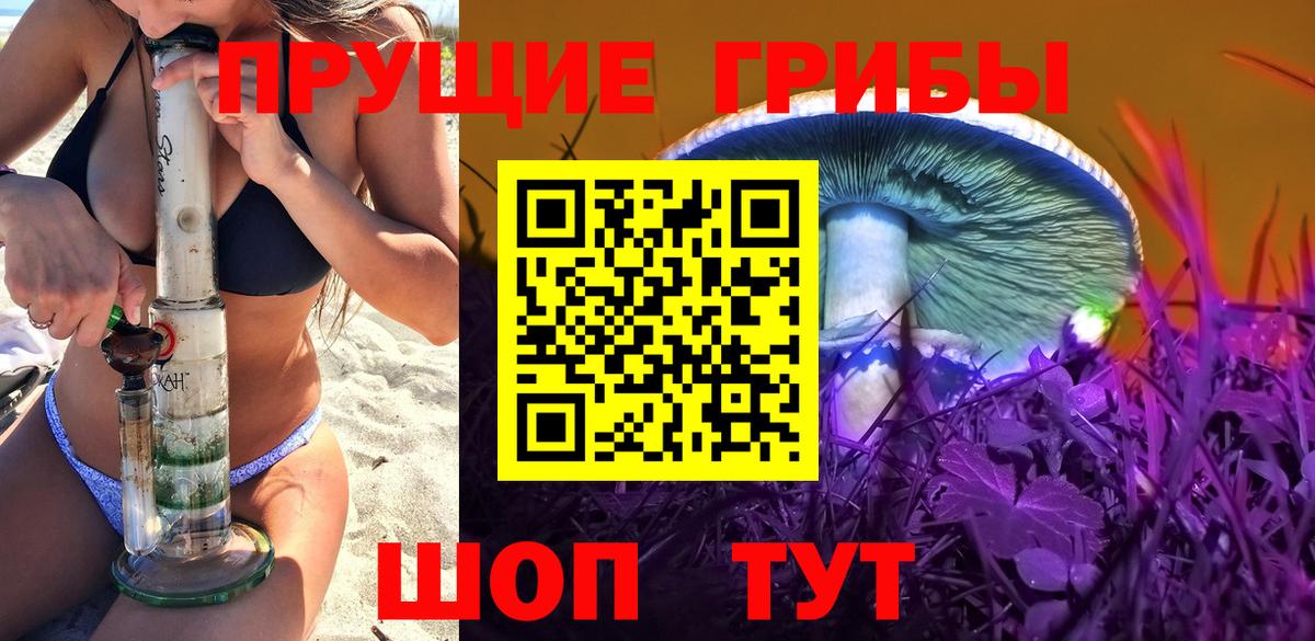 Галлюциногенные грибы Cubensis Рославль