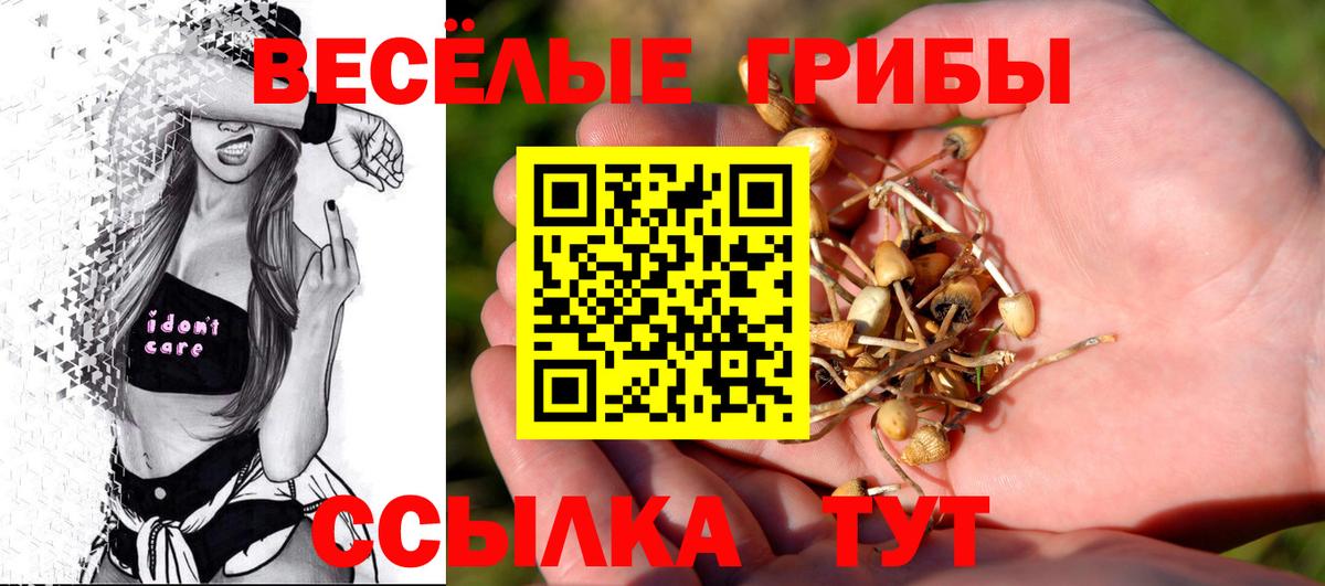 Галлюциногенные грибы GOLDEN TEACHER  Псилоцибиновые грибы MAGIC MUSHROOMS  сколько стоит  Рославль  Вход с VPN 